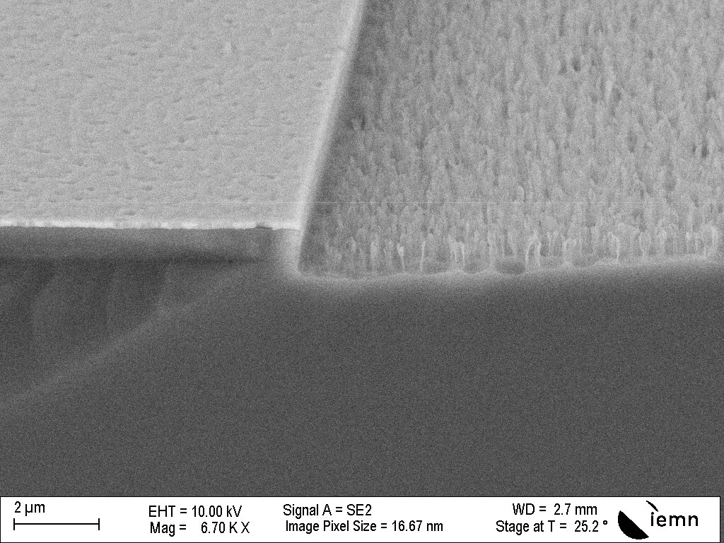 (b) Etch cavity with nickel masking. The “grass” is very prominent.